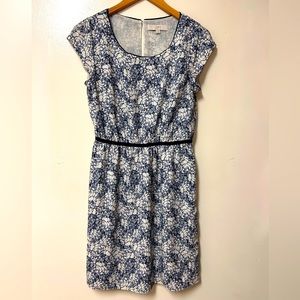 EUC Ann Taylor Loft Blue and White Dress Women’s 6